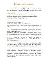 Referāts 'Dzelzs deficīta anēmija', 3.