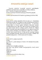 Referāts 'Dzelzs deficīta anēmija', 7.