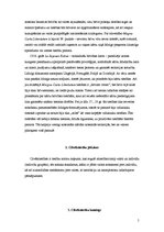 Referāts 'Cilvēka pamattiesību un brīvību ievērošanas nodrošināšana, to respektēšana no va', 5.