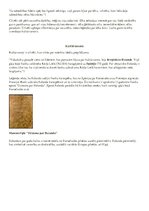 Konspekts 'Līderis. Elks', 2.