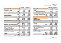 Referāts 'A/s "Projekts Hanzas 12" kapitāla apjoma un struktūras analīze', 14.