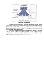 Referāts 'Projektu izstrāde un vadīšana', 15.