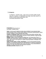 Konspekts 'Latvijas aizsargājamie zīdītāji', 2.