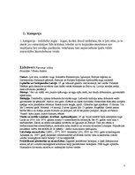 Konspekts 'Latvijas aizsargājamie zīdītāji', 3.