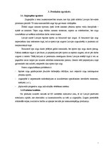 Biznesa plāns 'Biznesa plāns', 7.