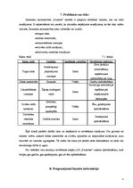 Biznesa plāns 'Biznesa plāns', 13.