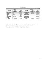 Biznesa plāns 'Biznesa plāns', 17.