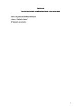 Biznesa plāns 'Biznesa plāns', 18.