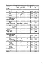 Biznesa plāns 'Biznesa plāns', 20.