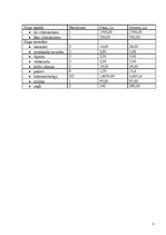 Biznesa plāns 'Biznesa plāns', 21.