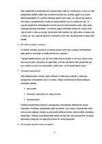 Referāts 'Prevences un intervences programmas', 6.