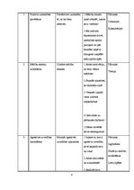 Referāts 'Prevences un intervences programmas', 8.