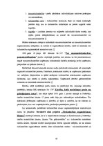 Diplomdarbs 'SIA "O" darbības analīze un izaugsmes iespējas', 40.