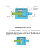 Prezentācija 'Viskozais sajūgs "Haldex"', 10.