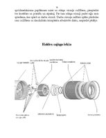Prezentācija 'Viskozais sajūgs "Haldex"', 13.