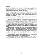 Konspekts 'Internets', 1.