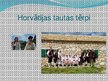 Prezentācija 'Horvātija', 6.