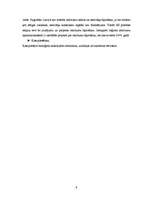 Referāts 'Atkritumu apsaimniekošana', 9.