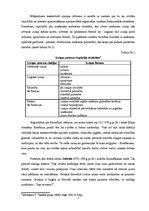 Referāts 'Filosofija no sākuma līdz mūsdienām', 4.