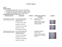 Konspekts 'Stundas konspekts 4.klasei. Krauls uz muguras', 1.