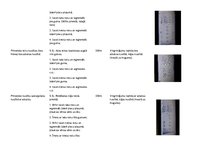 Konspekts 'Stundas konspekts 4.klasei. Krauls uz muguras', 3.
