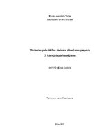Referāts 'Tūrisma plānošana un vadība. Pāvilostas pašvaldības tūrisma plānošanas projekts', 1.