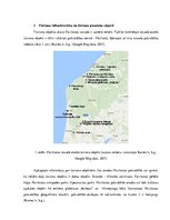 Referāts 'Tūrisma plānošana un vadība. Pāvilostas pašvaldības tūrisma plānošanas projekts', 3.