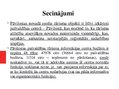 Referāts 'Tūrisma plānošana un vadība. Pāvilostas pašvaldības tūrisma plānošanas projekts', 19.