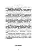 Referāts 'Viduslaiku pilsētas un pilsētnieki', 5.