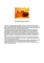 Eseja 'Eseja par rudeni', 1.
