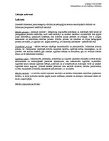 Paraugs 'Didaktika', 1.