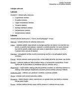 Paraugs 'Didaktika', 2.