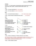 Paraugs 'Didaktika', 3.