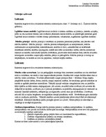 Paraugs 'Didaktika', 6.