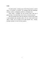 Referāts 'Princepsu terors, cēloņi un būtība', 2.