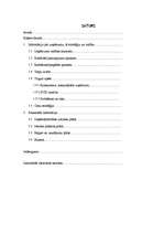 Biznesa plāns 'Biznesa plāns TV un mājas kinozāļu ražošanai un realizācijai', 1.