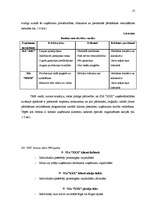 Biznesa plāns 'Biznesa plāns TV un mājas kinozāļu ražošanai un realizācijai', 13.