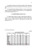 Biznesa plāns 'Biznesa plāns TV un mājas kinozāļu ražošanai un realizācijai', 19.