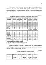 Biznesa plāns 'Biznesa plāns TV un mājas kinozāļu ražošanai un realizācijai', 20.