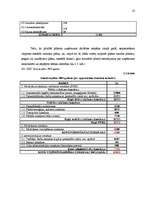 Biznesa plāns 'Biznesa plāns TV un mājas kinozāļu ražošanai un realizācijai', 23.