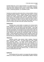 Referāts 'Antīkā viduslaiku un jaunlaiku filozofija', 8.