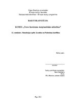 Eseja 'Simulācijas spēle: Izraēlas un Palestīnas konflikts', 1.