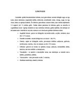 Konspekts 'Limonāde', 1.