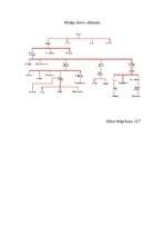 Konspekts 'Gaja', 3.