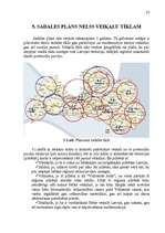 Referāts 'SIA “Nelss” mārketinga vides analīze ', 31.
