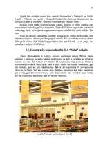 Referāts 'SIA “Nelss” mārketinga vides analīze ', 32.