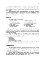 Referāts 'SIA “Nelss” mārketinga vides analīze ', 35.