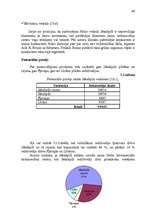 Referāts 'SIA “Nelss” mārketinga vides analīze ', 45.