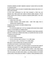 Prakses atskaite 'Prakses atskaite finanšu grāmatvedībā', 21.