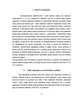 Prakses atskaite 'Prakses atskaite finanšu grāmatvedībā', 32.